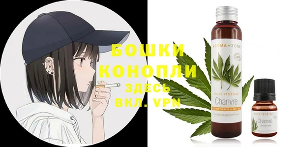 хмурый Пестово