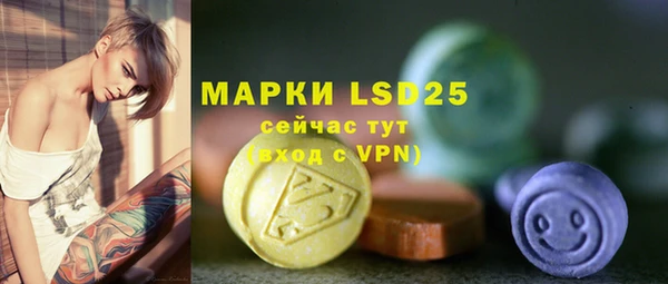 хмурый Пестово