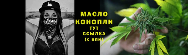 гидра Осинники
