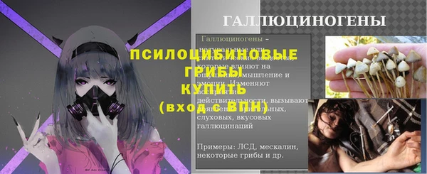 хмурый Пестово