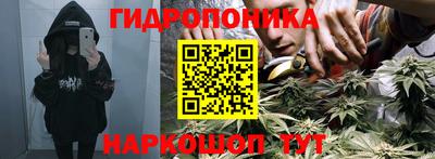 тгк Гатчина