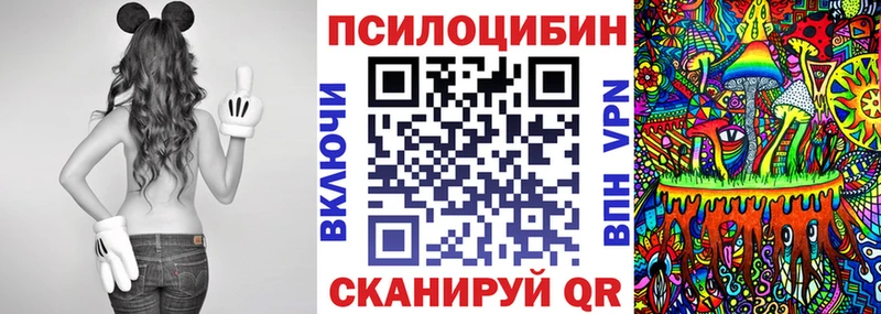 OMG зеркало  маркетплейс телеграм  Псилоцибиновые грибы ЛСД  Кстово 