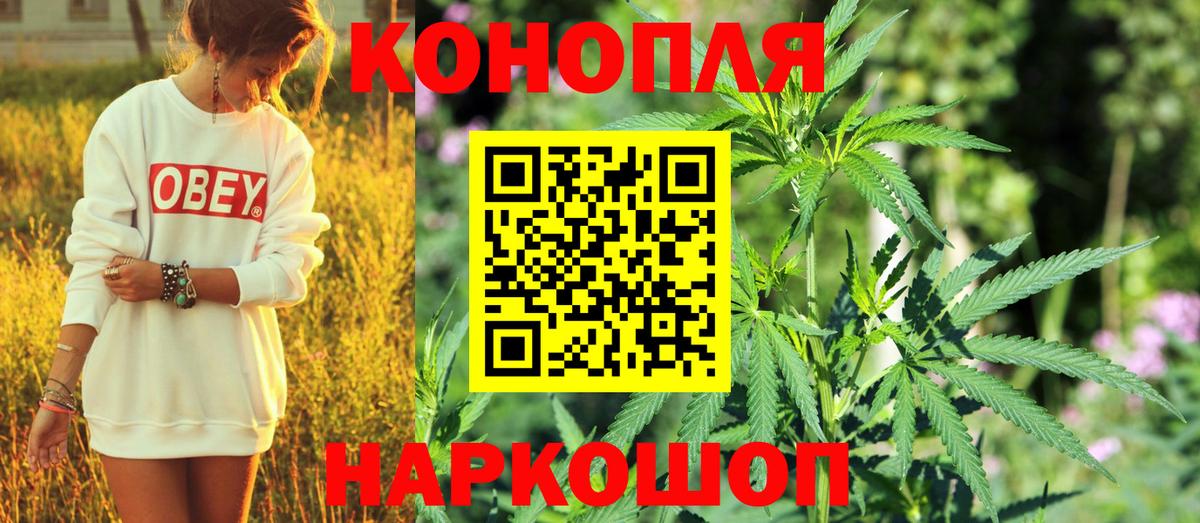 Марихуана Amnesia Кстово